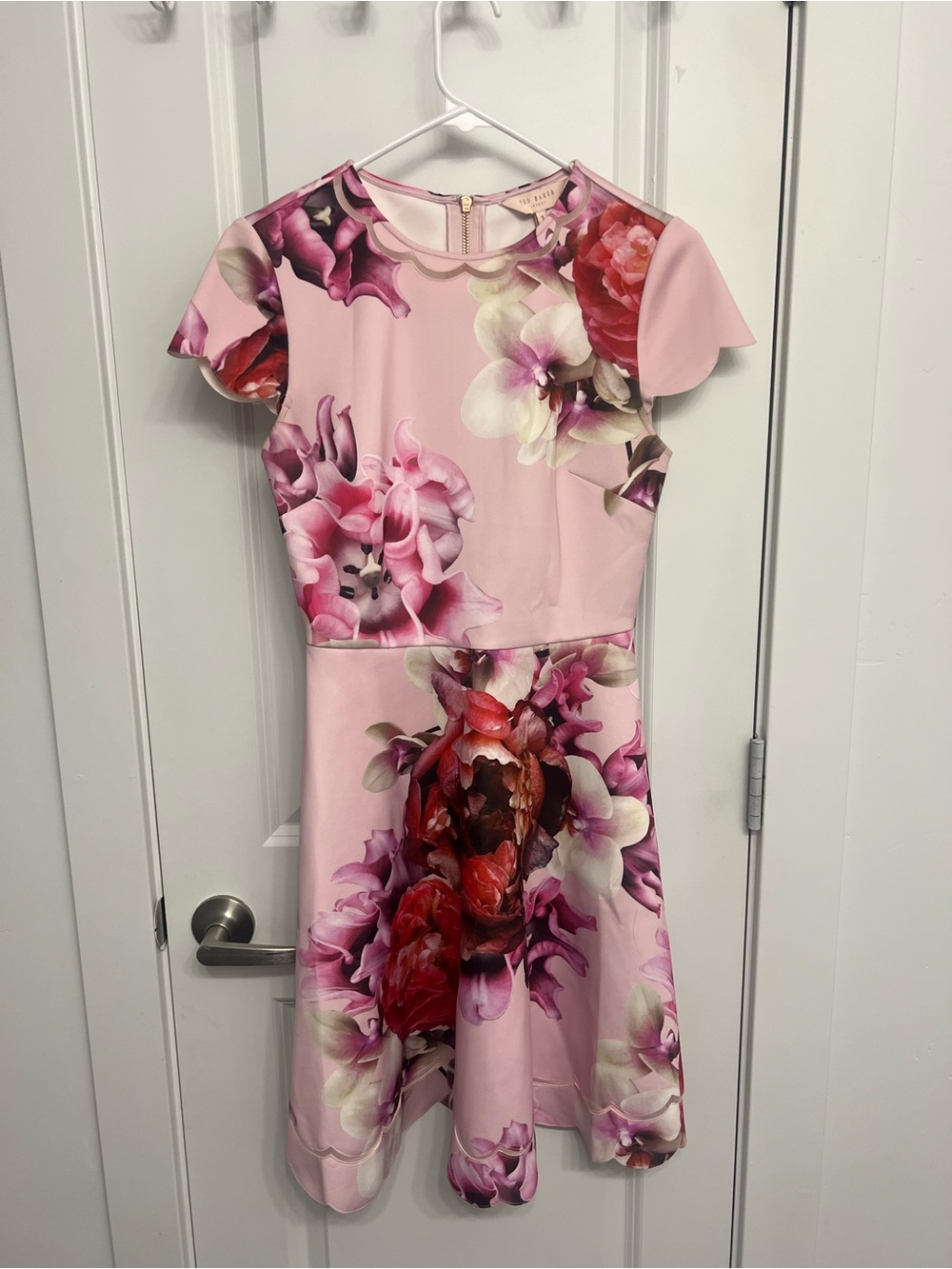 Ted Baker London Pink Floral Fit-and-Flare Dress